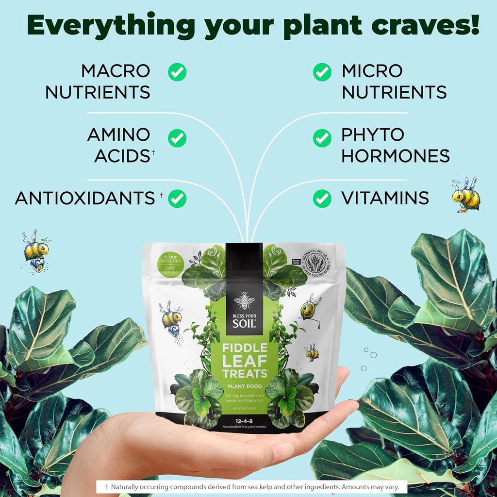 Fiddle Leaf Fig Plant Food - Fiddle Leaf Treats | Urea-Free Fertilizer | Fast Acting for Bigger Leaves and Stress Tolerance, 4X More Concentrated Than Liquid Plant Food | for All Ficus Plants