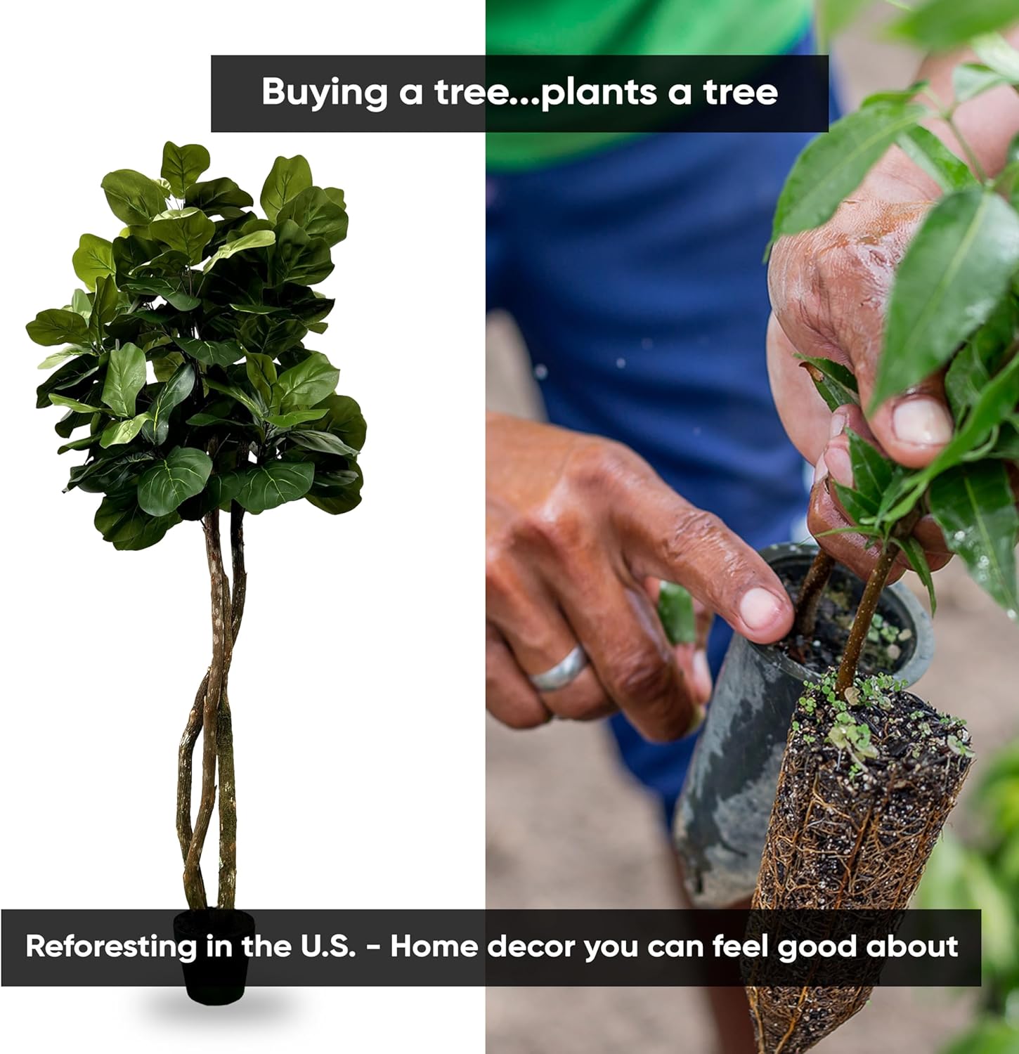Cypress & Alabaster Handmade 6ft Fiddle Leaf Fig Ficus Lyrata Artificial Tree with Ethically Sourced Real Wood Trunks, Hypoallergenic, 6-Foot, Green