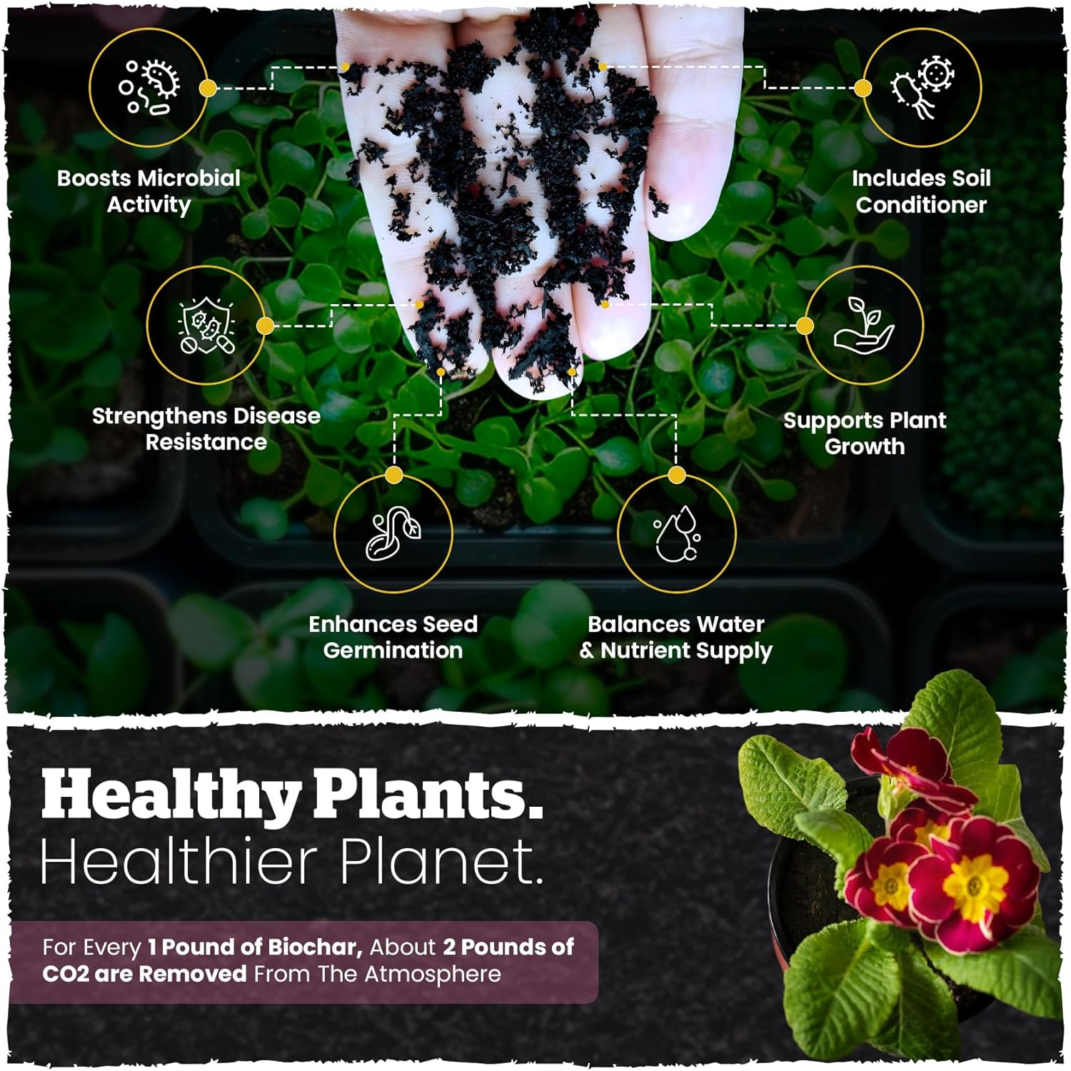 Wakefield Biochar Potting Mix & Indoor Plant Soil – Potting Soil Indoor Plants w/CarbonBoost Technology – Organic Compost, Pine Bark, Worm Castings – Garden Dirt - 4 Quart