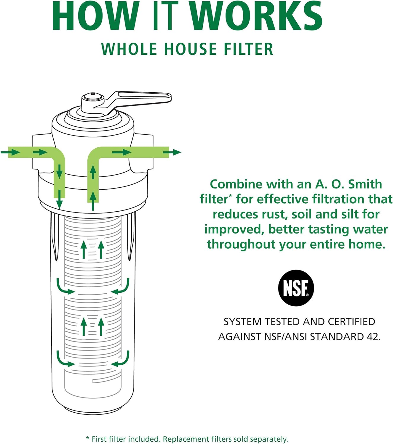 AO Smith Whole House Water Sediment Filter - Valve-in-Head Single-Stage Filtration System - NSF Certified - AO-WH-PREV