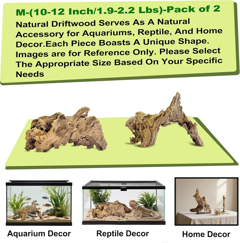 Natural Driftwood for Aquarium Decor,Reptile Habitat&Home DIY Decor,Naturally Unique Shapes Weathered Wood,Easy to Use (M-(10-12 Inch/1.9-2.2 Lbs)-Pack of 2)