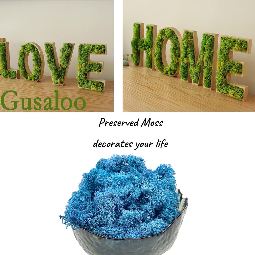 Moss Preserved Moss - Natural Fresh Green for Craft, Arts, Floral Projects, Wall & Table Decor, Wedding Centerpieces, Garden, Terrariums - Sky Blue, 3.5OZ