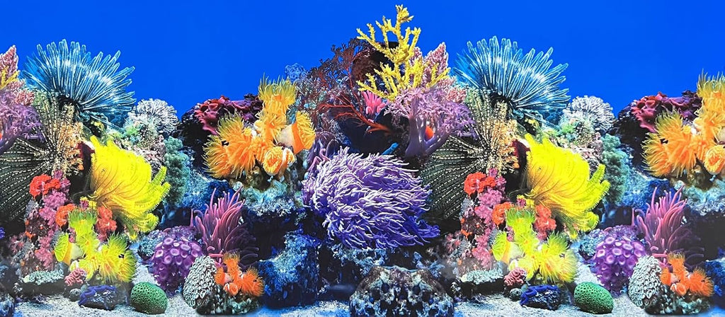 Fish Tank Background Sea Anemone Coral Theme Aquarium Background Poster Fish Backdrop for Aquarium Wallpaper Double-Sided Fish Tank Sticker Paper