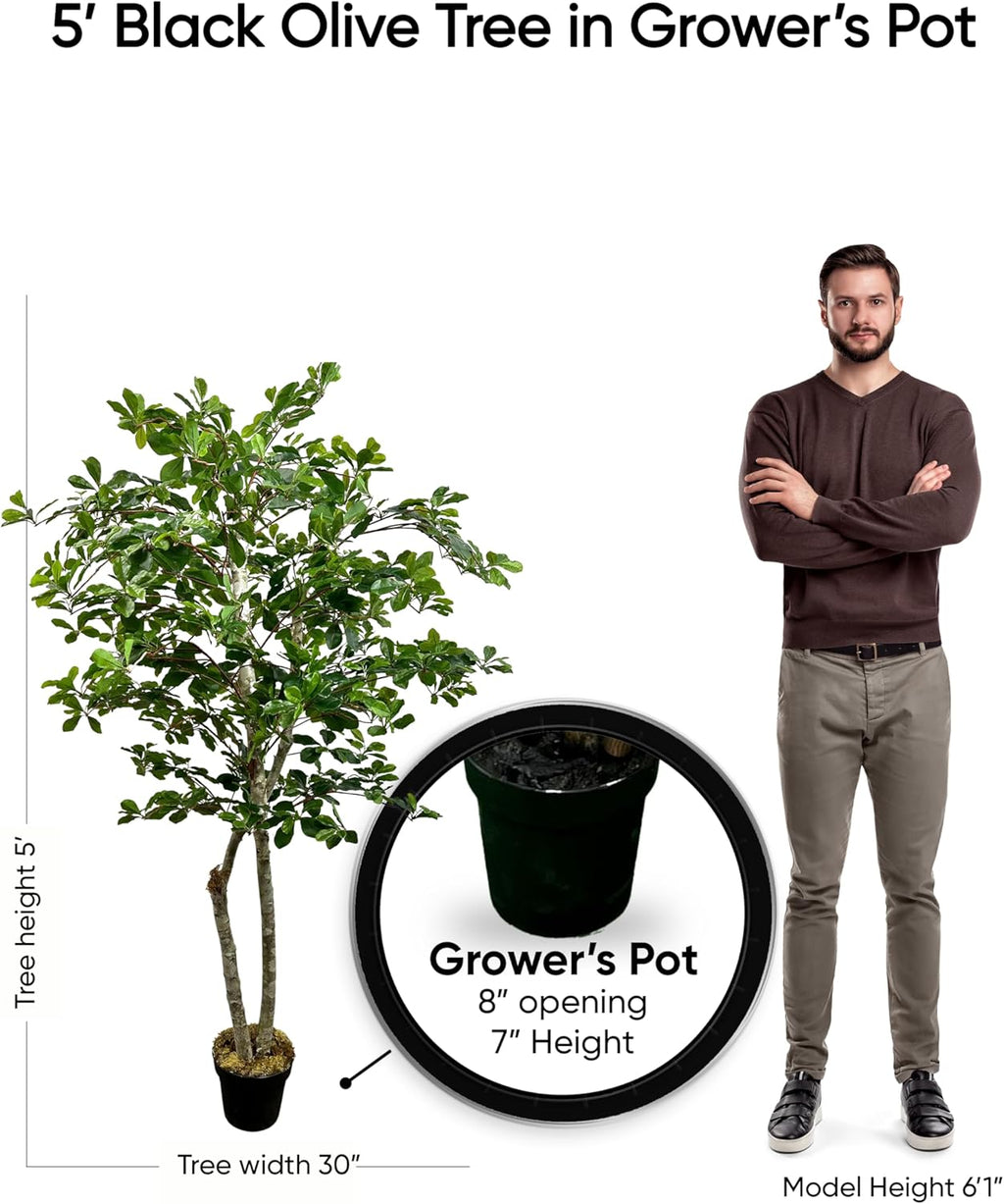 Cypress & Alabaster Handmade 5ft Italian Black Olive Leaf Artificial Tree with Ethically Sourced Real Wood Trunks, Hypoallergenic, 5-Foot, Green