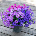 Artificial Flowers for Outdoors,UV Resistant Artificial Outdoor Flowers,Not-Fading Faux Flowers for Outdoor Planters for Front Door Porch Yard Patio Garden Home Decor,12 Bundles Mix 3 Colors
