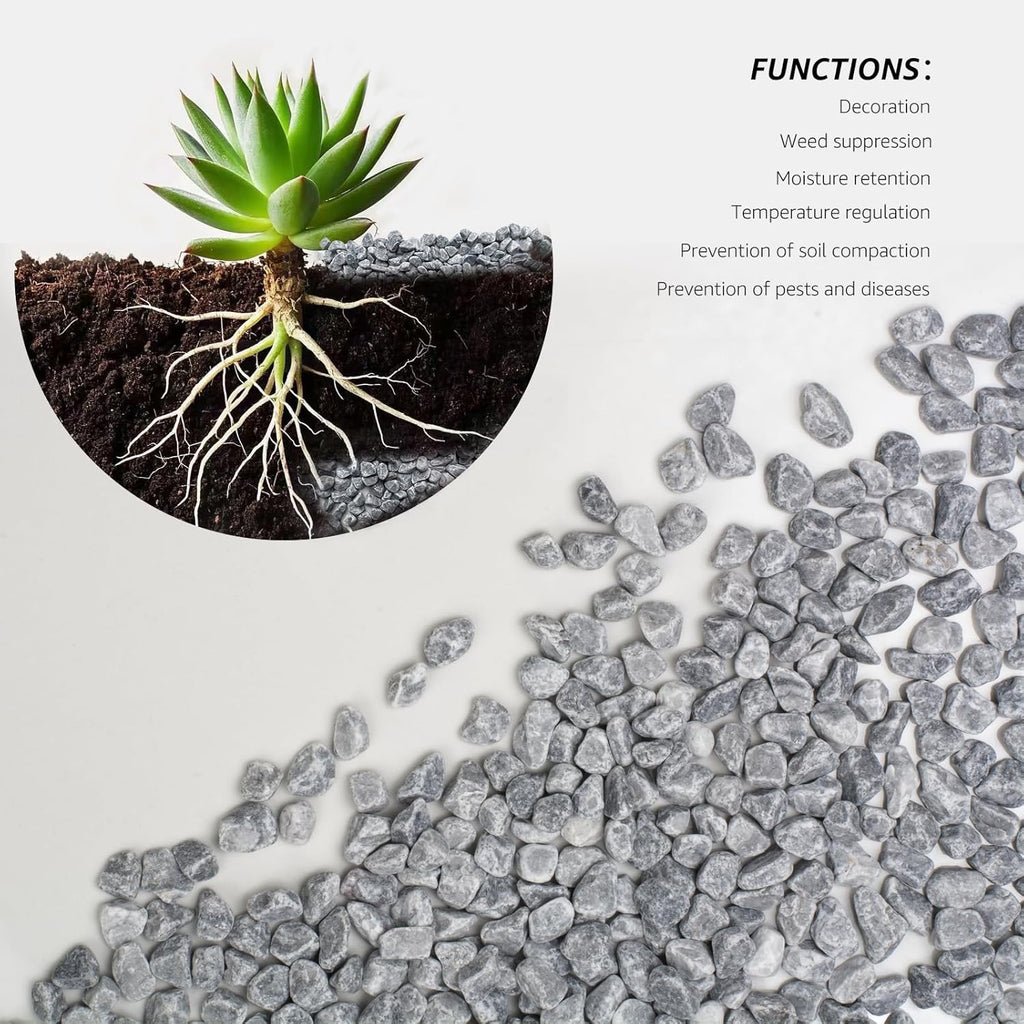 2lbs Grey Gravel - 1/5 Inch Decorative Stones for Succulents, Cactus, Vases, and Landscaping