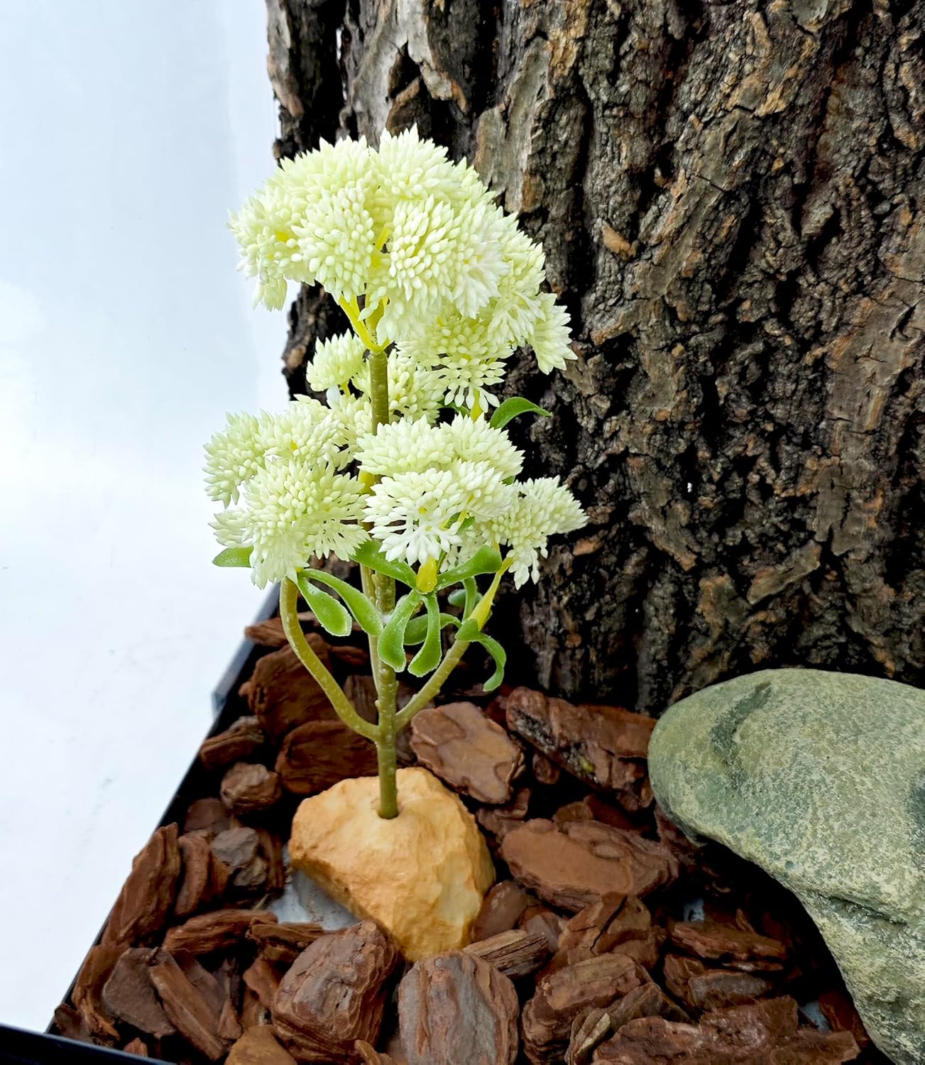 Woyrise Reptile Plants Succulent, Artificial Desert Plant for Terrarium Decor, Bearded Dragon Tank Accessories fit Gecko Lizard Chameleon Ball Python Snake - White Hylotelephium