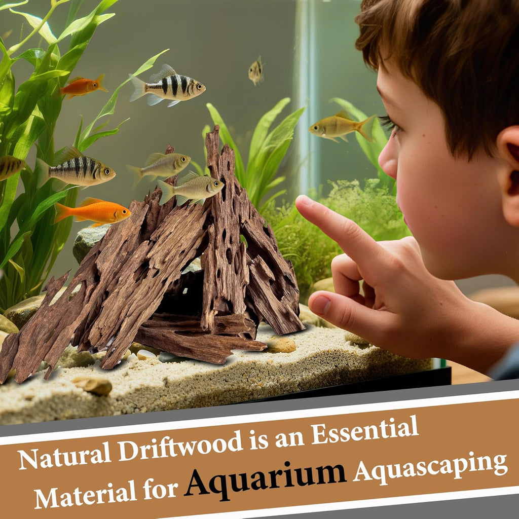 Natural Driftwood Branches for Aquariums&Reptiles-1.5lb,4-12in Length|Ideal for Aquascaping,Reptile Habitat Decor,and DIY Craft Projects (XM-Branches Medium 9 to 12 inch-1.5lb)