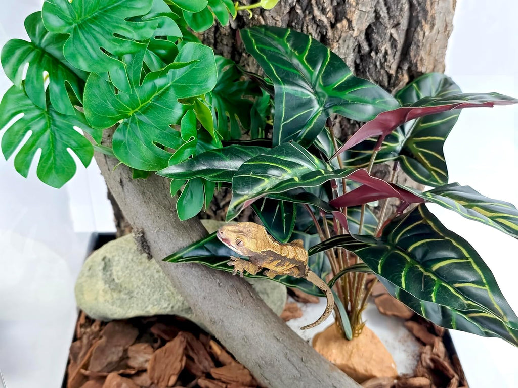 Woyrise Reptile Artificial Plants for Terrarium Decor, Amphibian Habitat Decorations Bearded Dragon Tank Accessories fit Crested Gecko Leopard Lizard Chameleon Ball Python Snake Frog - Fake Alocasia