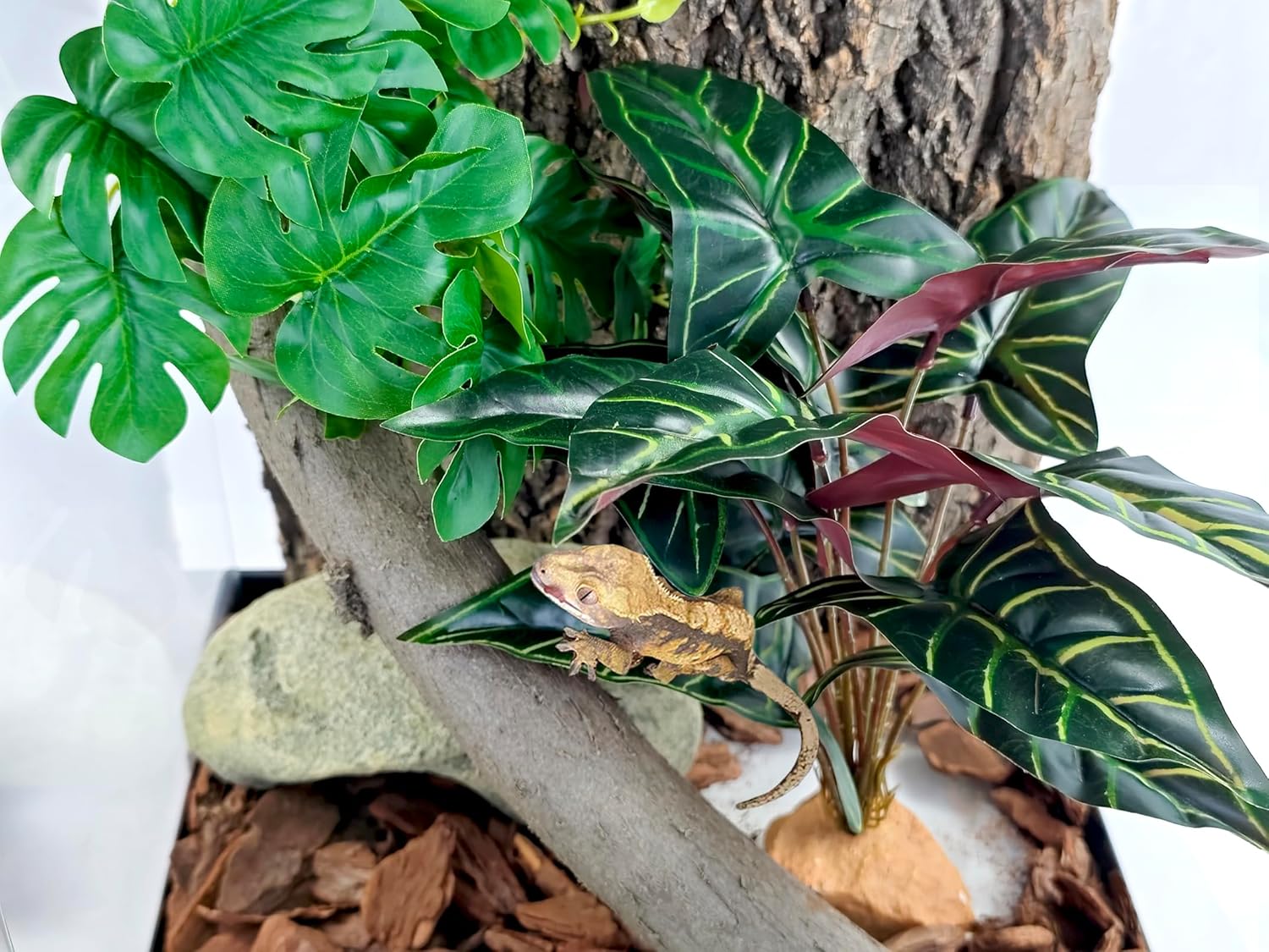 Woyrise Reptile Artificial Plants for Terrarium Decor, Amphibian Habitat Decorations Bearded Dragon Tank Accessories fit Crested Gecko Leopard Lizard Chameleon Ball Python Snake Frog - Fake Alocasia
