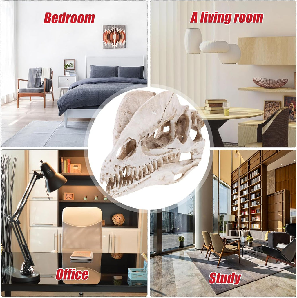 NUOBESTY Resin Dinosaur Skeleton Aquarium Decoration Dinosaur Skull Skeleton Ornament Fish Tank Aquarium Terrarium Decoration