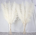 10 Stems 40-inch White Pampas Grass Decor Tall, Large Pampas Grass, Boho Neutral Home Decor Bouquet. Fluffy Pampas Grass for Floor Vases, Wedding Floral Arrangements, Wall Decor, Farmhouse Table Decor