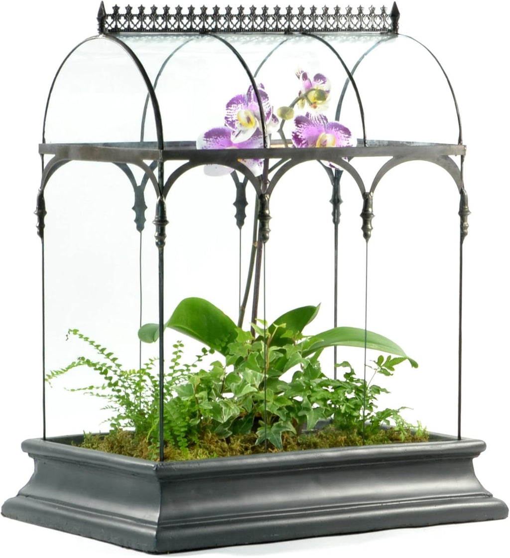 Terrarium Large Glass Succulent Planter Wardian Case Container for Plants from H Potter WAR150