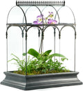 Terrarium Large Glass Succulent Planter Wardian Case Container for Plants from H Potter WAR150