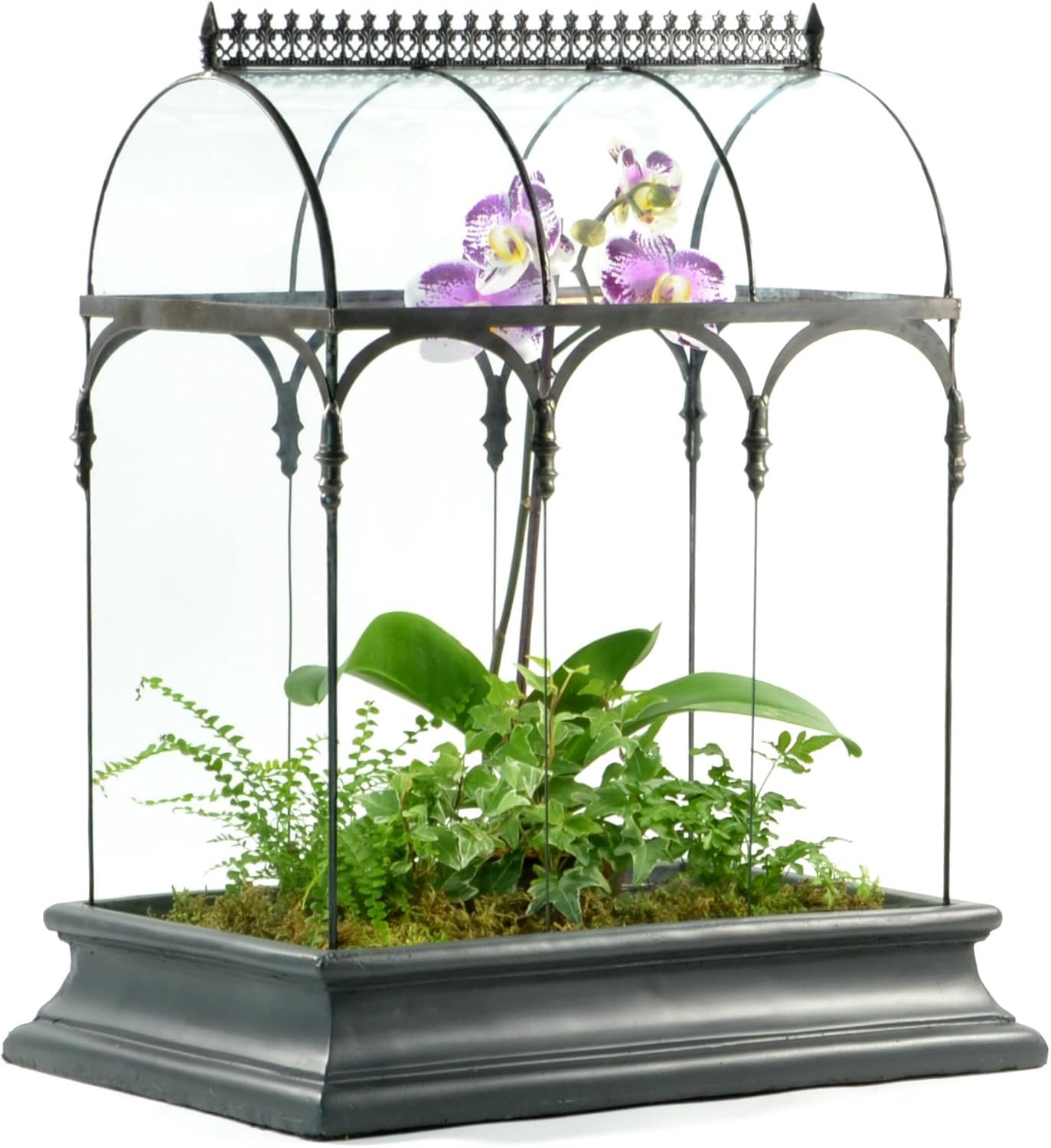Terrarium Large Glass Succulent Planter Wardian Case Container for Plants from H Potter WAR150