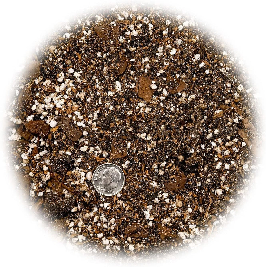 GARDENERA Premium Spider Plant Potting Soil Mix - (1 Quart Bag)