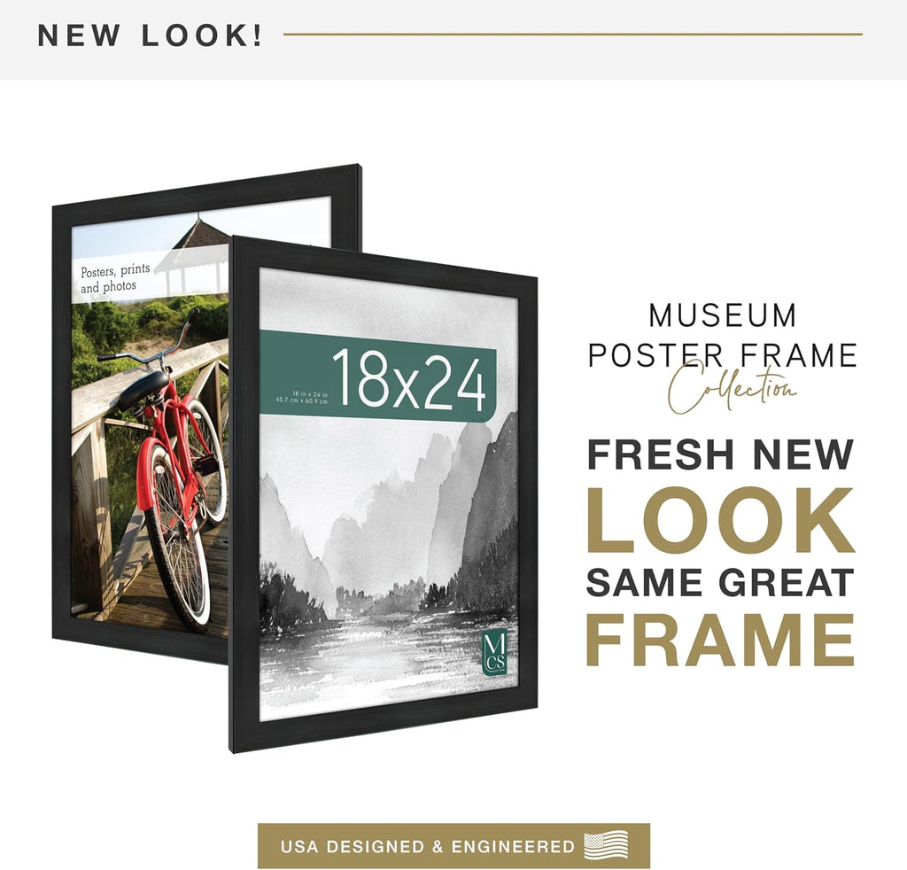 MCS Museum Poster Frame 18x24 Onyx Woodgrain, Vertical & Horizontal Wall Hanging Large Picture Frame for Photos, Posters & Art Prints (1-Pack)