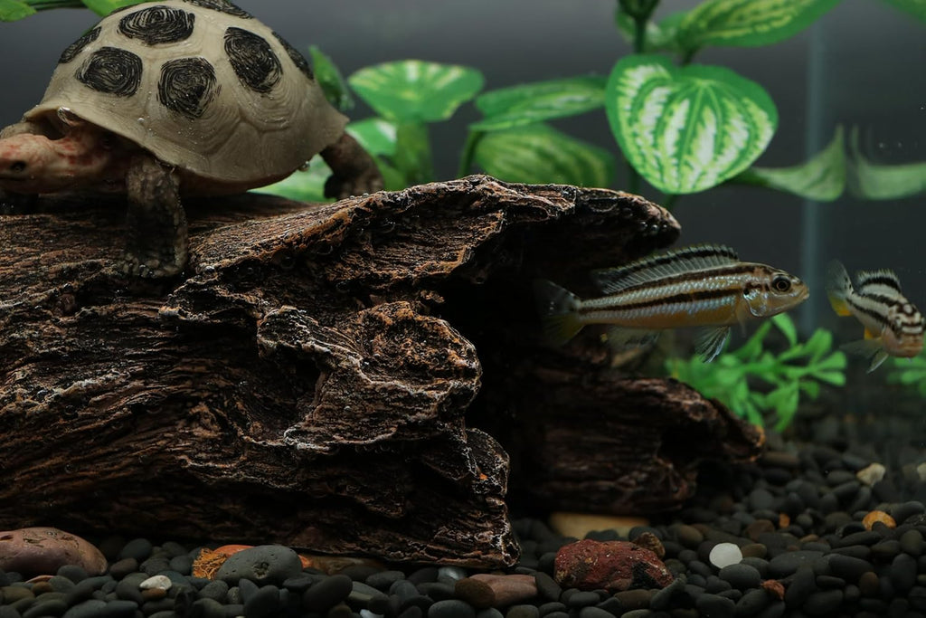 AQUA KT Reptile Hideout Tree Trunk Hollow Log Cork Bark for Lizard Bearded Dragon Snake Chameleon Hermit Crab Leopard Gecko Terrarium Habitat Decoration