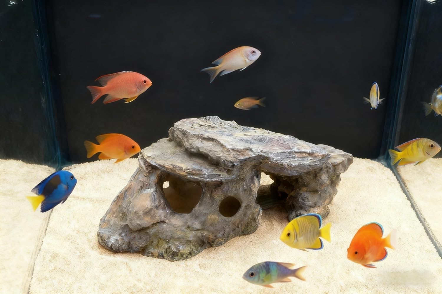 Betta Fish House Aquarium Decor,Resin Hollow Tree Trunk Cave, Ideal for Small Fish, Shrimp & Reptiles, Fits Various Aquarium Sizes