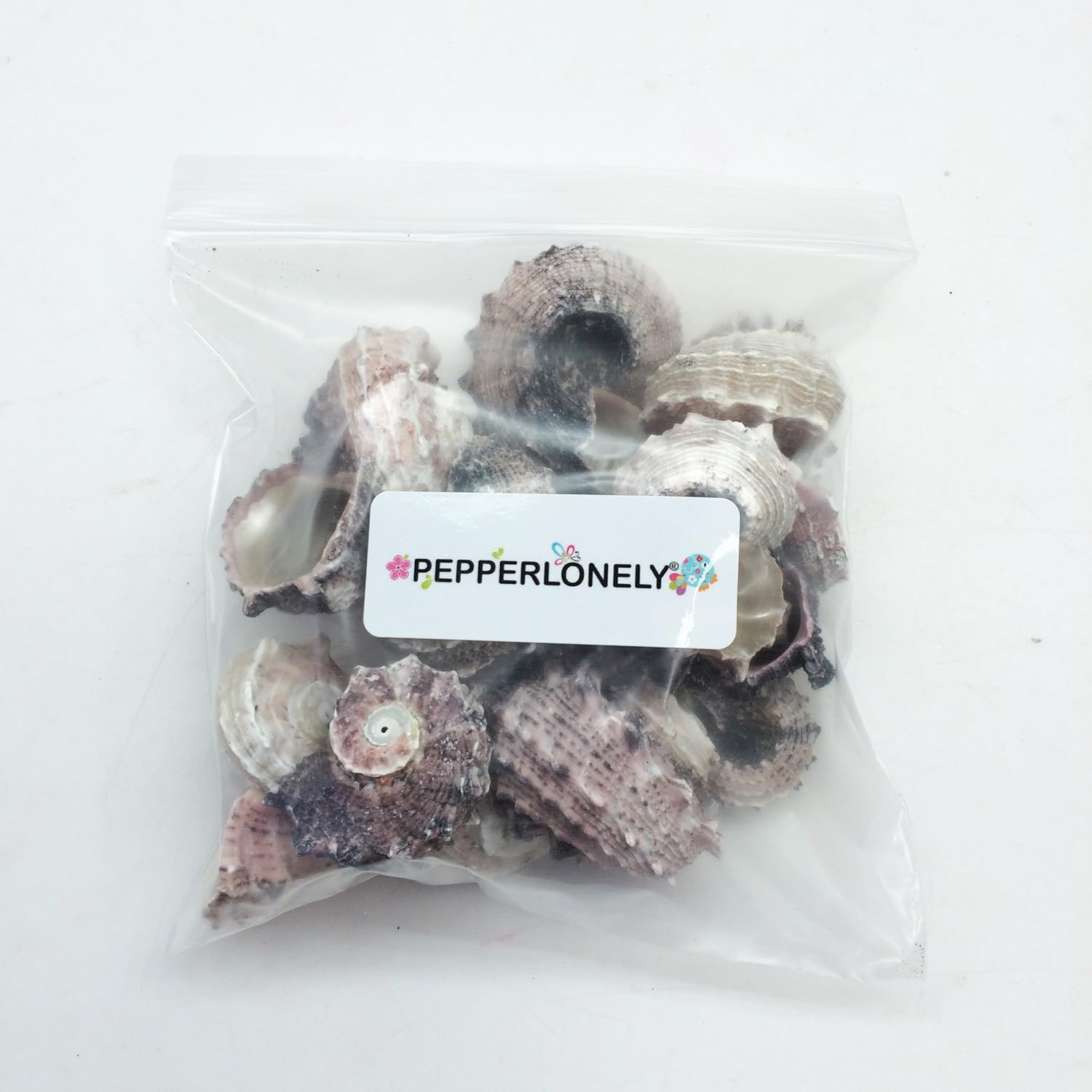 PEPPERLONELY 12PC Pink Delphinula Hermit Crab Sea Shells, 1-1/4 Inch ~ 2-1/2 Inch