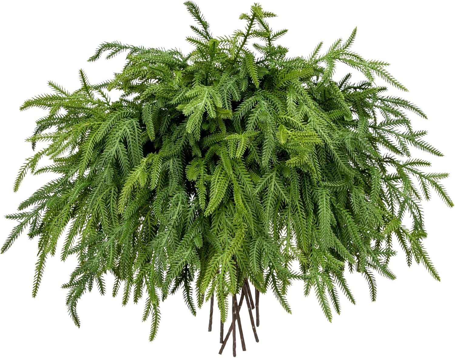 Briful 20PCS Christmas Norfolk Pine Branches - Real Touch Stems for DIY Crafts, Artificial Christmas Decor, Xmas Garland Wreaths Indoor Outdoor (22.5 Inches)