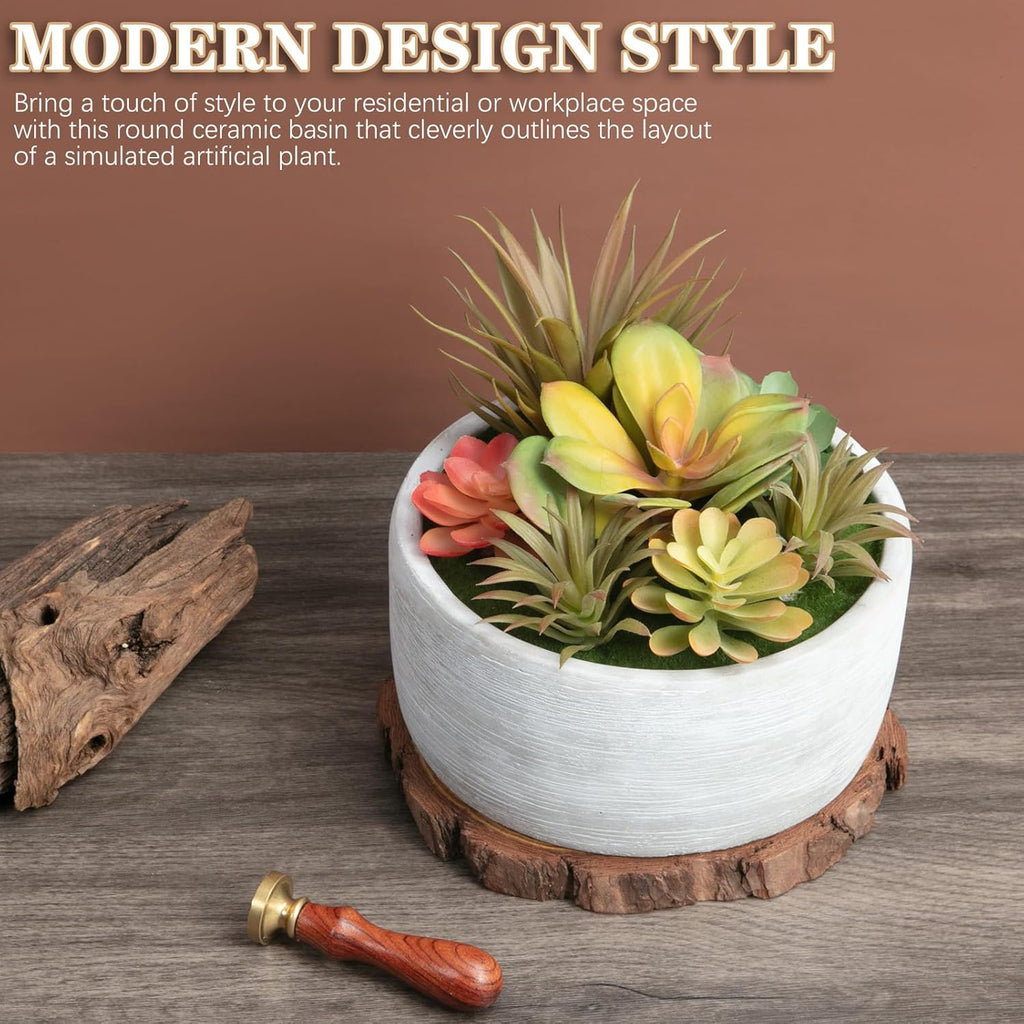 Artificial Succulent Plants Potted Indoor with Ceramic Pot - Fake Low Maintenance Plants for Bedroom, Bathroom, Coffee Table Decor - Home Office Desk & Room Aesthetics