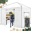 EAGLE PEAK Instant Pop-up Greenhouse, Indoor Outdoor Plant Gardening Green House, Roll-Up Zipper Doors and Side Windows, Walk in 10x10 ft, White/Clear