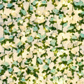 BLEUM CADE 12Pcs 98.4Ft Flower Garland Artificial Rose Vines with 98.4Ft String Lights, Cute Fake Hanging Flower Vines Floral Garland Decorations for Wedding Party Wall Room Decor Aesthetic