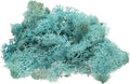 uxcell Preserved Reindeer Moss, 4 OZ Fake Moss for Crafts Artificial Dried Moss for Decoration, Craft, Terrariums, Potted Plants, Centerpieces Fairy Gardens (Blue)