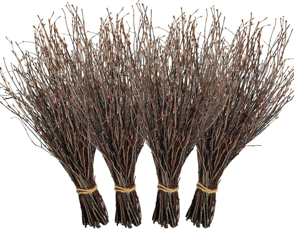 200 Pcs Real Dried Birch Branches, 17 Inch Natural Birch Twigs Tall Birch Tree Sticks for Decorative Vases, Crafts, DIY Floral Arrangements Wreath Wedding Centerpiece Home Decor