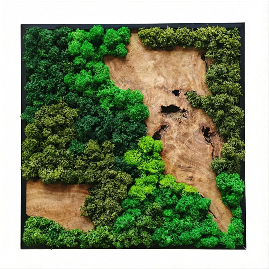 vadmepiop Natural Preserved Moss Wall Art with Real Wood Frame, Handcrafted Maintenance-Free Moss Wall Panel for Home Decor, Office, Restaurant, Bar & Cafe (Square, 11.81in)