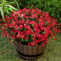 20 Bundles Artificial Flowers for Outdoor Fake Plants for Spring Decoration,Faux Eucalyptus Flowers for Planter UV Resistant Lifelike for Home Porch Garden（Red）