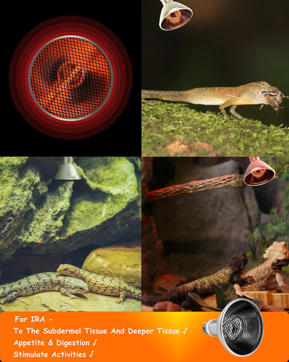 Deep Heat Projector - DHP 100W Infrared Reptile Heat Lamp Bulbs for Turtle Light Bearded Dragon Chicken Lizard Leopard Gecko Snake