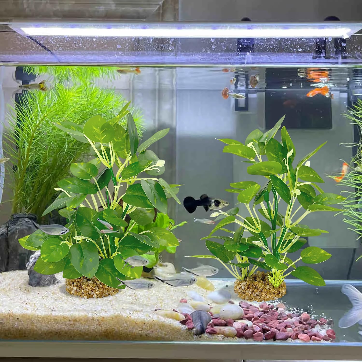 Silk Aquarium Plants (2-Pack) 9.8 Inch Artificial Plastic Fish Tank Decor, Small to Medium Size Aquarium Decorations, Safe Green Plants for Freshwater Tanks
