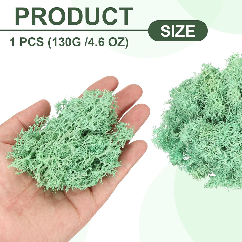 MECCANIXITY 4.6oz Preserved Reindeer Moss, Green Decorative Artificial Fake Moss for Potted Plants Indoor Crafts Lichen Centerpieces Decor