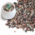 5lbs Terrarium Rocks for Pots Indoor, Succulent, Cactus, Bamboo, Bonsai Tree, 1/5 Inch Rocks for Planters Drainage, Mixed Color Small Lava Rocks for Top-Dressing