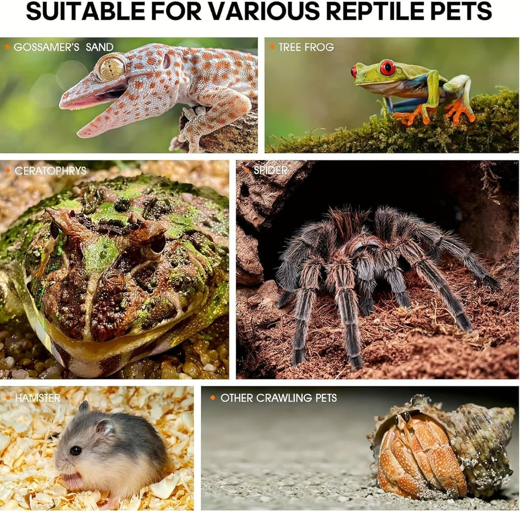 Jumping Spider Habitat Enclosure Spider Terrarium Transparent Amphibian Acrylic Enclosure Box for Spiders, Arthropods, Amphibians