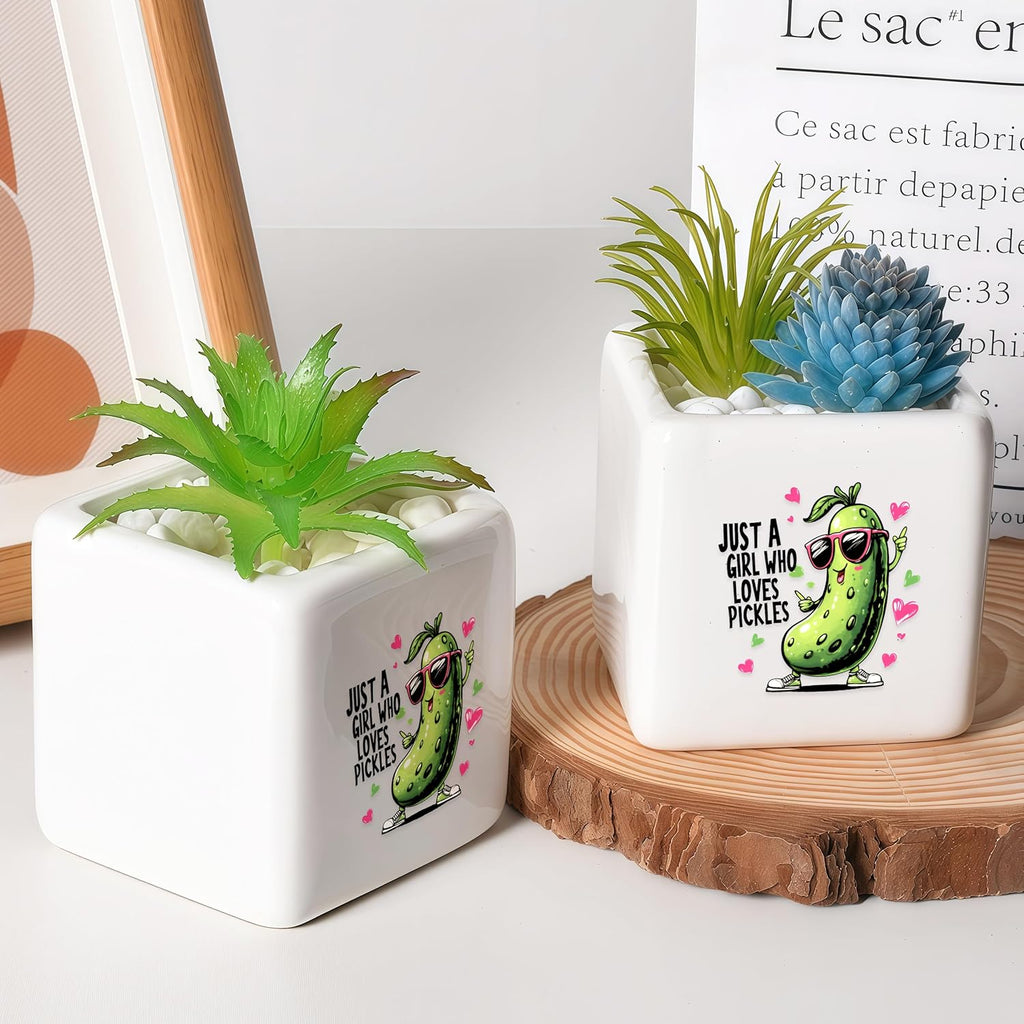 Pickle Succulent Planter Flower Plant Pot Small, Gifts for Women Teens Girls Kids, Pickle Lovers Themed Stuff Accessories Things Decor Merch, Home Office Table Desk Decoration!