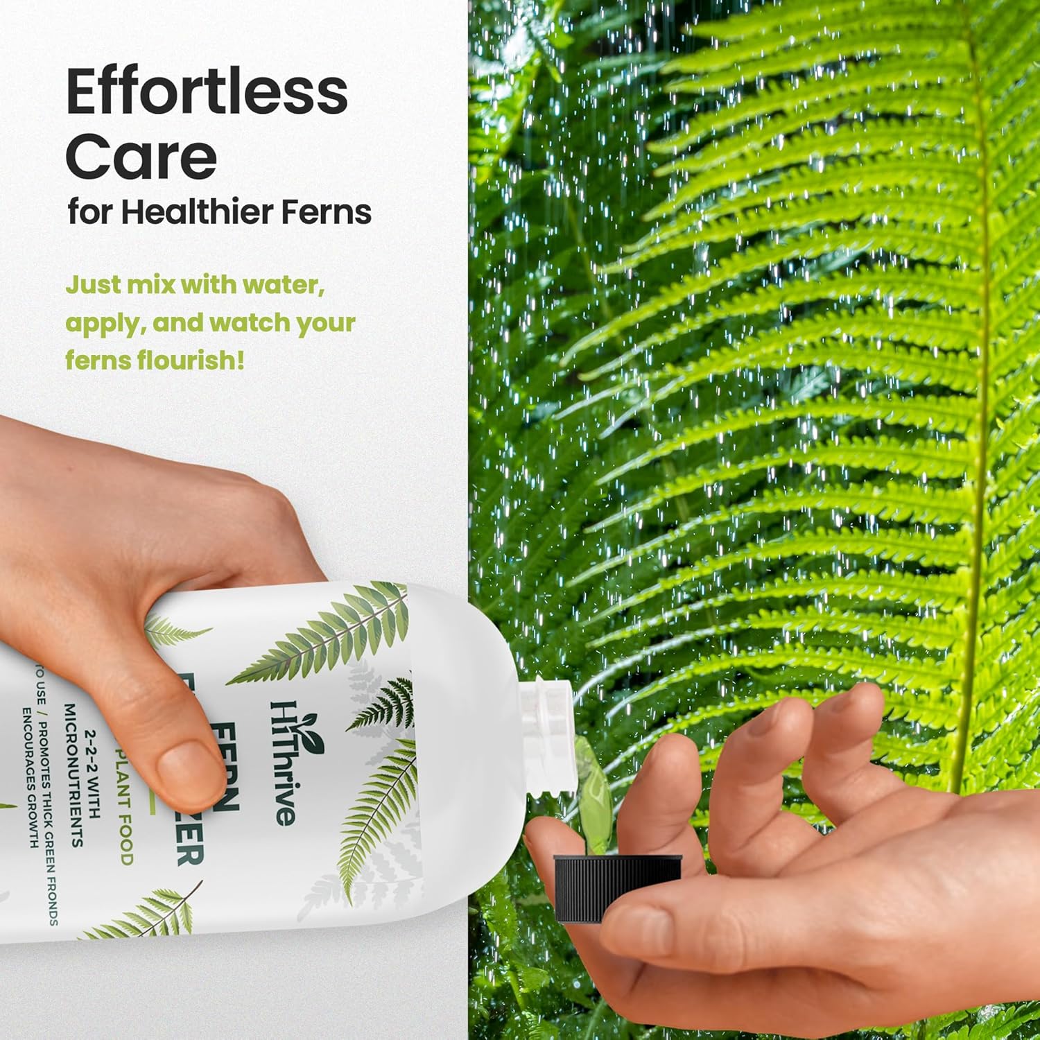 16oz Fern Fertilizer for Live Ferns - Makes 32 Gallons of Fertilizer for Ferns, Indoor Plant Food for Greener Growth and Dense, Resilient Fronds with Intricate Texture - Ideal for All Fern Plant Live