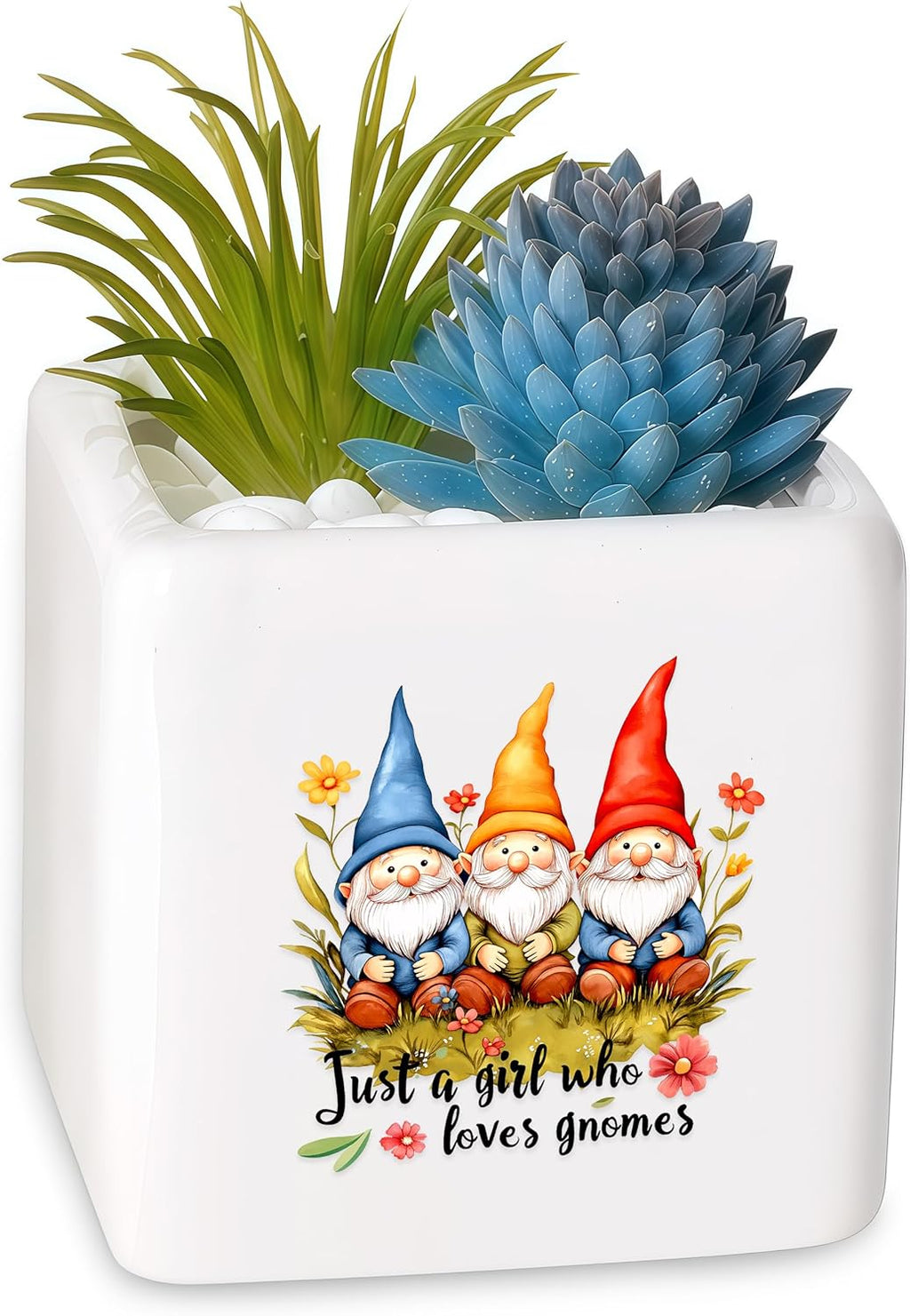 Gnomes Succulent Planter Flower Plant Pot Small, Gifts for Women Teens Girls Kids, Gnomes Lovers Themed Stuff Accessories Things Decor Merch, Home Office Table Desk Decoration!