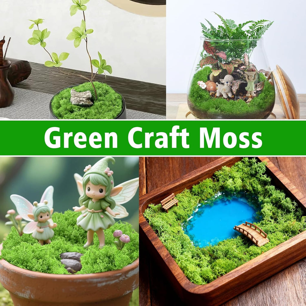 Halatool Preserved Moss for Crafts, Green Reindeer Moss for DIY Decorating Art Potted Fairy Garden Accessories Table Centerpieces Wedding Christmas Fairy Party Decor(1.1 LB)