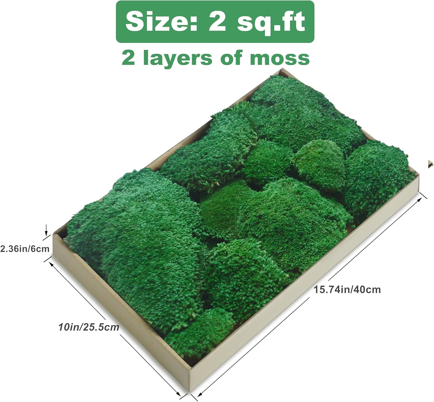 TurelinnG Preserved Moss Decor - Real Forest Moss, Moss for Crafts, Flexible for DIY Crafts, Home, Wall, Terrarium, Art Projects(Dark Green 2 sq.ft)