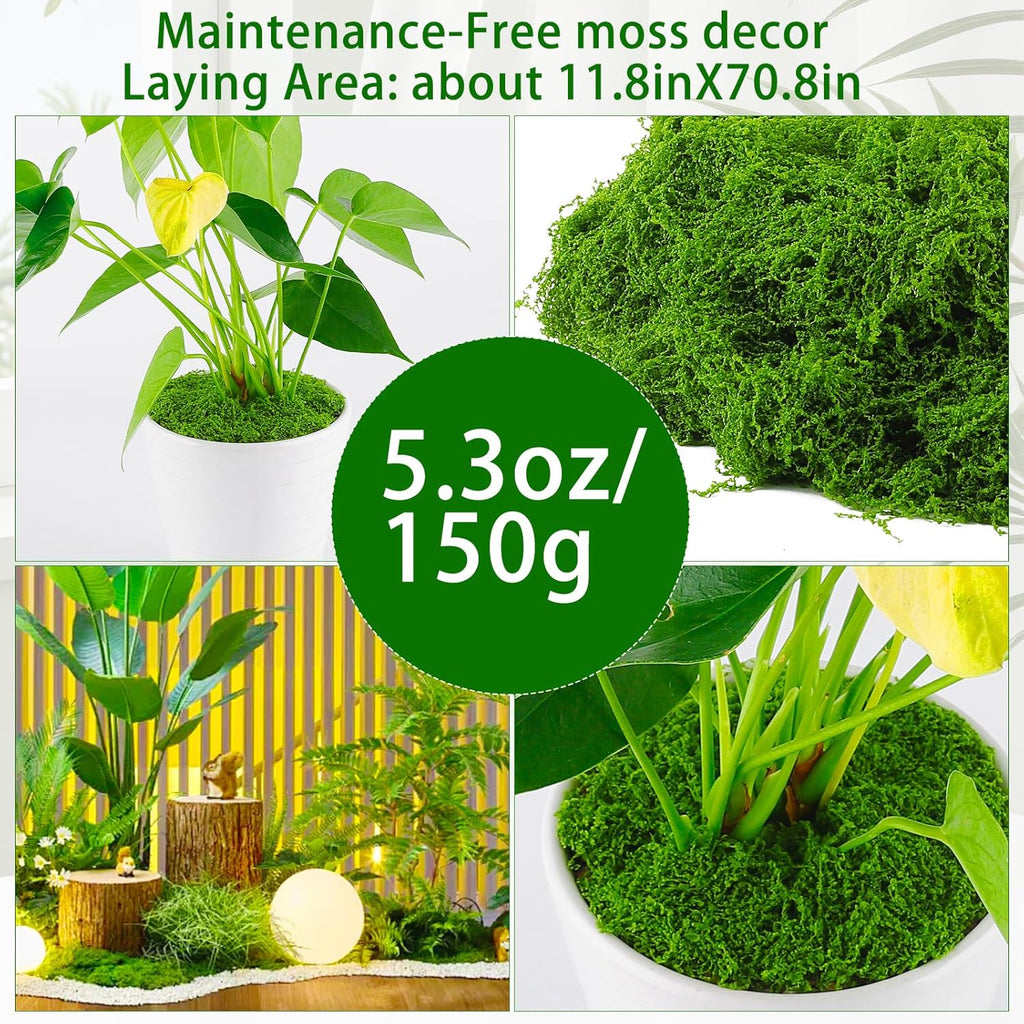Yomirduy Artificial Moss for Crafts, 5.3OZ Fake Green Moss for Potted Plants, Faux Moss Decor for DIY Decorative, Walls,Table Centerpieces Decor Fairy Garden Model Making (150g)