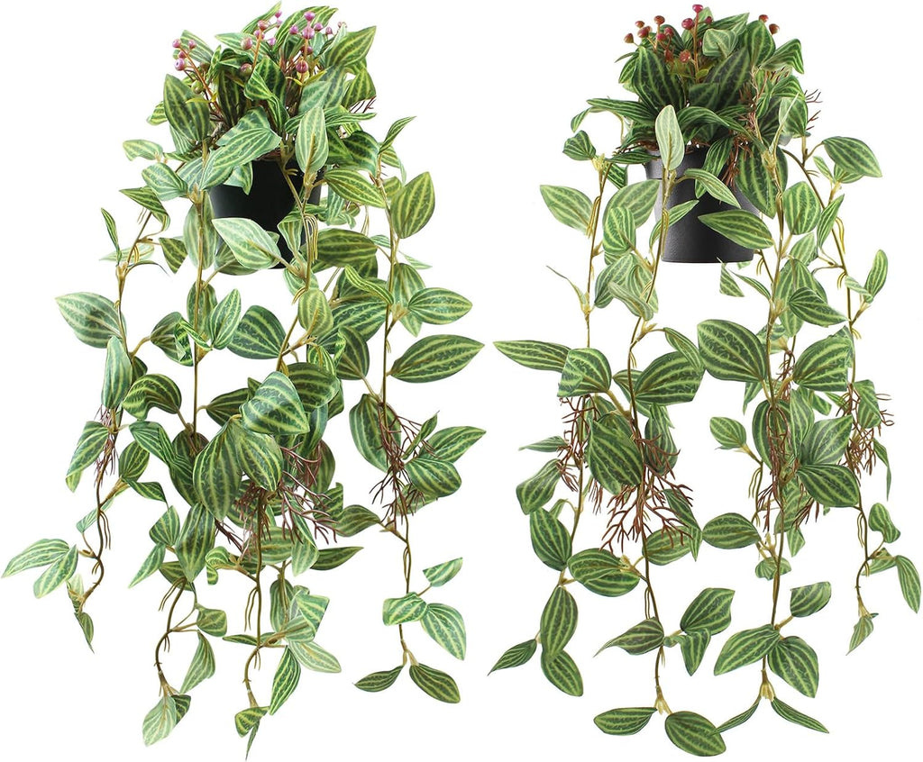 2 Pcs Artificial Hanging Plants Realistic Watermelon Texture Fake Peperomia Leaves Faux Potting Vine Green Plants for Indoor Outdoor Home Garden Decor