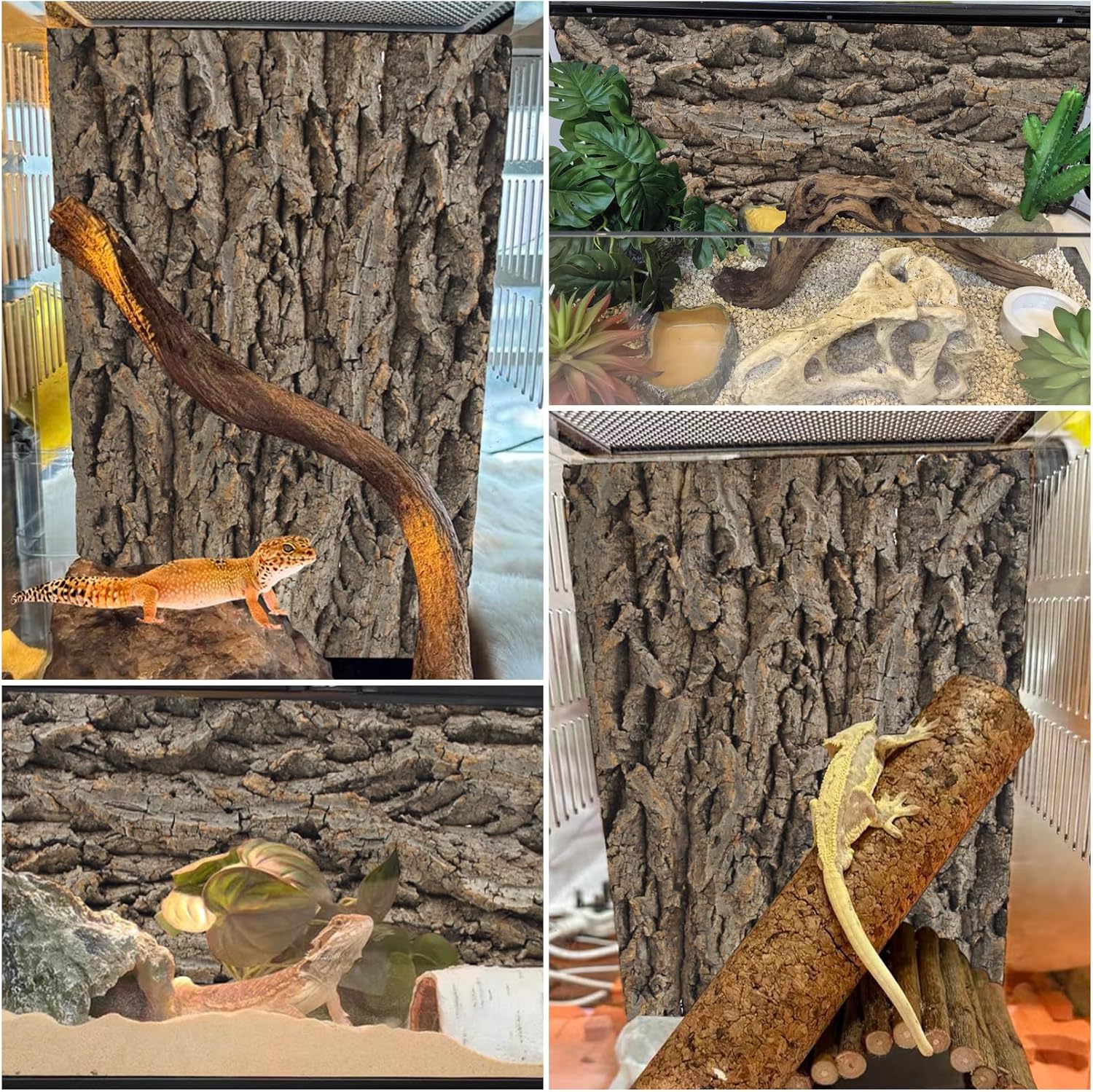 PINVNBY Natural Cork Bark Terrarium Background,15.74x11.81 Inches Reptile Tank Backdrop 3D Bearded Dragon Tank Climbing Wall Habitat Decor for Gecko Lizard Tortoise Frog Chameleon(1 PCS)