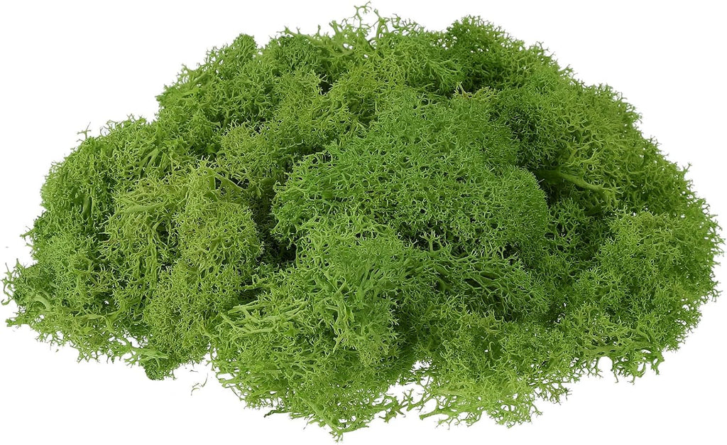 uxcell Preserved Reindeer Moss, 17.6oz Fake Moss for Crafts Artificial Dried Moss for Decoration Terrariums Potted Plants, Light Green