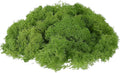 uxcell Preserved Reindeer Moss, 17.6oz Fake Moss for Crafts Artificial Dried Moss for Decoration Terrariums Potted Plants, Light Green