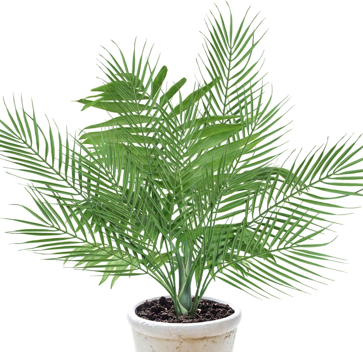 18 Branches 27 Inch Artificial [Palm] [Leave]s 6 PCS Large Faux / Fake Greenery Tropical [Palm] Tree [Leave]s for [Palm] Wedding Arrangement Jungle Party Decorations
