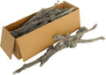 SuperMoss (23543 Lichen Parmelia (Branched), Natural/Grey, 5lbs