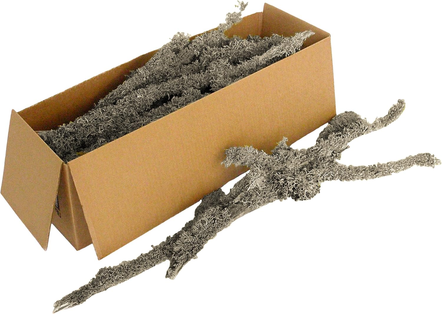 SuperMoss (23543 Lichen Parmelia (Branched), Natural/Grey, 5lbs